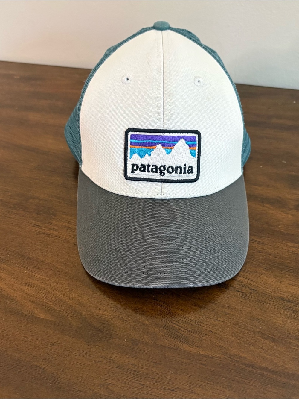 Patagonia Men’s Women’s Adult Mesh Trucker Hat Green White Gorpcore